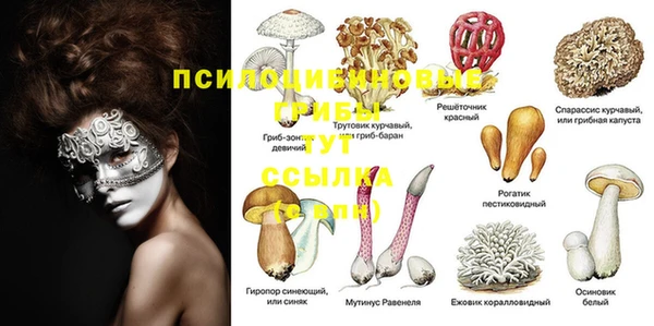 кокс Балабаново