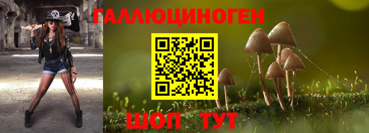 Галлюциногенные грибы Cubensis Заречный