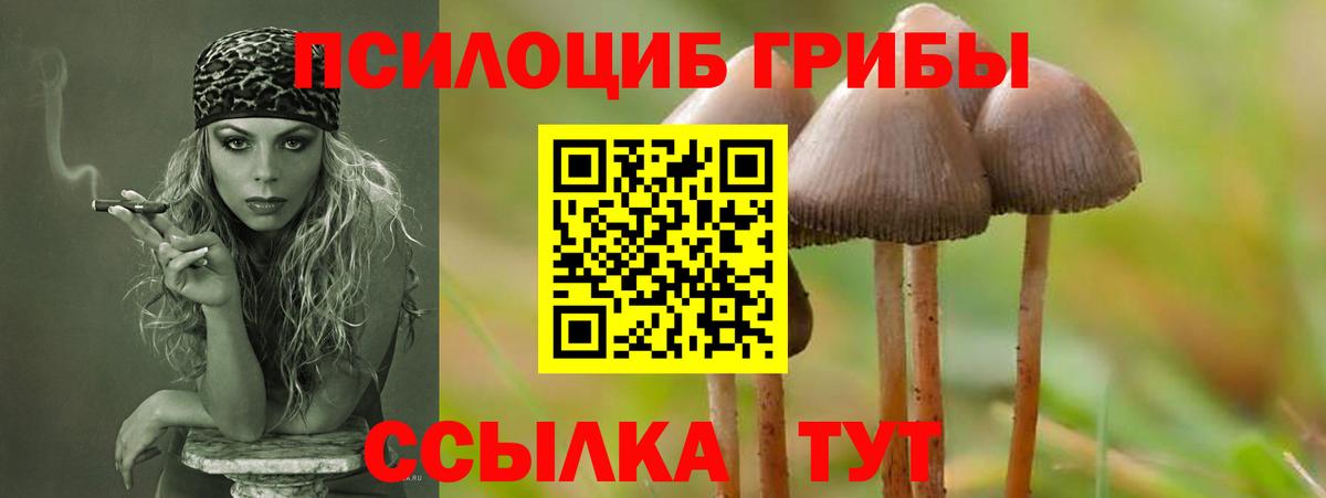 Галлюциногенные грибы ЛСД  Вход с VPN  Заречный 
